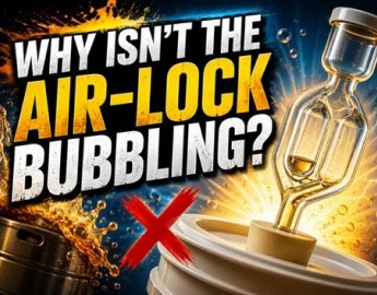 Why isn't the Air-lock bubbling?