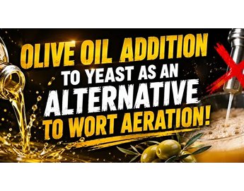 Olive Oil Addition to Yeast as an Alternative to Wort Aeration!