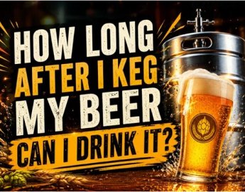 How Long After I Keg My Beer Can I Drink It?