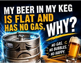 My Beer In My Keg Is Flat And Has No Gas, Why?
