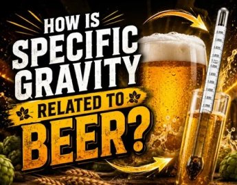 How Is Specific Gravity Related To Beer?
