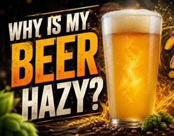 Why Is My Beer Hazy?