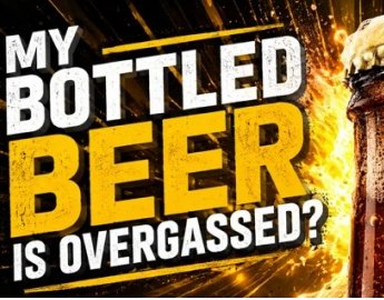My Bottled Beer is Overgassed?