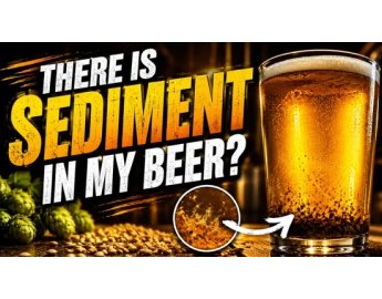 There Is Sediment In My Beer?