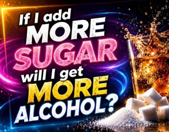 If I add more sugar will I get more alcohol?