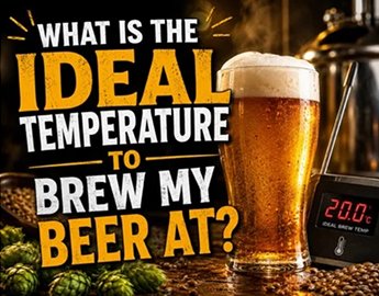 What is the ideal temperature to brew my beer at?